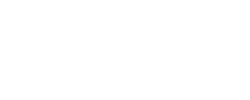 Shoezly - logo